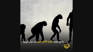 کشف جمجمه پیرترین انسان