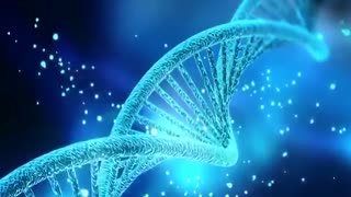 درباره فرازمینی هایی به نام پلیدین و اگاهی معنوی که انها به ما می دهند