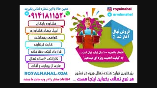 نهال گردو،خرید نهال گردو،فروش نهال گردو، قیمت نهال گردو 09141811520