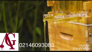 جدیدترین کندو عسل