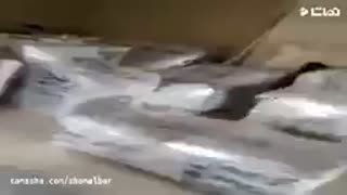 بسته بندی اثاثیه منزل با باربری تهران 44754478