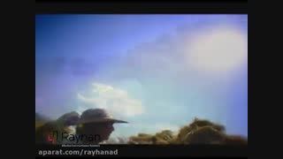 خرید اینترنتی انواع ماکارونی در آلیار