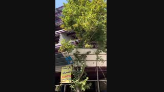 سقف عرشه فولادی همدان09121505650