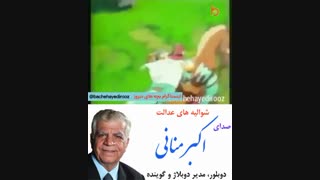 شوالیه های عدالت