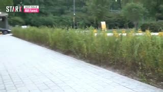 تبریک گفتن به روش آرمی ها(BTS/RM/ARMY)