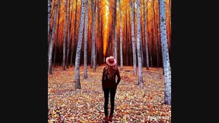 مسابقه شروع....