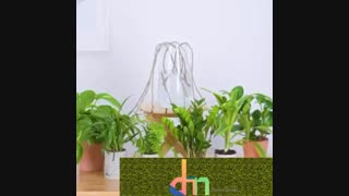 روش هایی برای رشد زودتر گیاهان