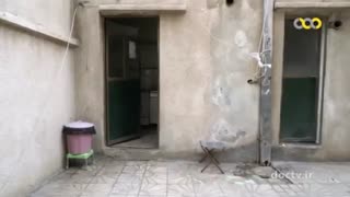 زهرا امیری، دختر نابینای افغان، از فعالیت ها و شور زندگی می گوید