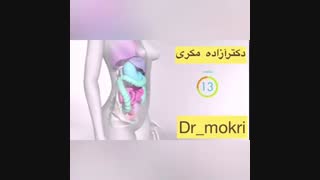 ❌باردارى هفته به هفته