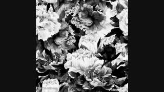 کدوم عقب مونده ای.....