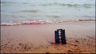 در انتها  احمد علی کارگران