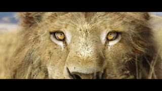 علی پوراحمد کارگردان متخصص ژانر علمی تخیلی در سینمای ایران - فیلم ایرانی علمی تخیلی - فیلم علمی تخیلی ایرانی