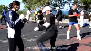 کیوکوشین فارس | کیوکوشین شیراز | کیوکوشین کاراته استان فارس