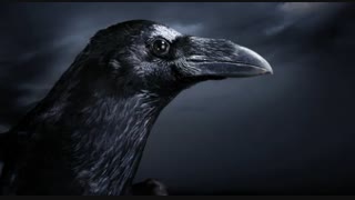 جواب سوال تست آگاهی