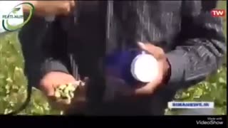 گوگرد وتابل 90 %