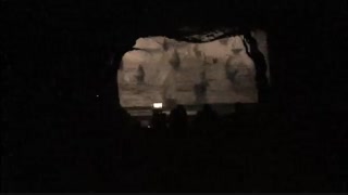 ماهی ویدئو آرت