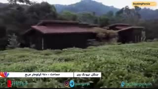 جنگل نیونگ وی در رواندا، یک پارک ملی زیبا و سرسبز - بوکینگ پرشیا