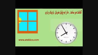 ضربان