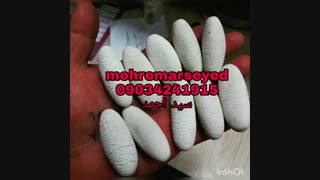 فروش مهره مار و فرج کفتار