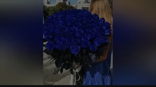 میثم ابراهیمی_یه جور خاص