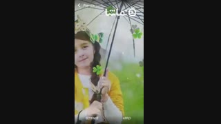 Live Lovely Koi Wallpaper