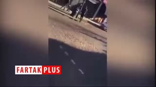 جوان وحشی هلندی که پلیس جلودار آن نیست