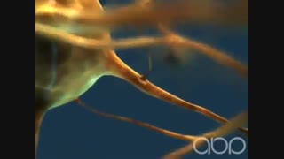 Neuron - 3D Medical Animation || ABP ©