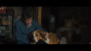 A Dog's Journey 2019