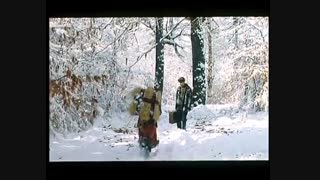 باد در علفزار می پیچد