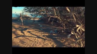 پاکسازی ساحل جزیره هرمز