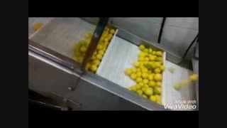 خط شستشوی لیمو