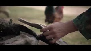 تریلر فیلم شمارش کامل