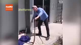 حمله ناموفق مار به مارگیر در کوئینزلند