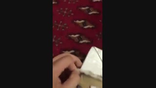 یکی از خریداران کراتین کور پرفورمنس سلوکور (۳) از وبسایت تمرینو