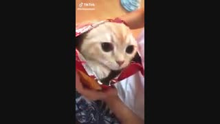 سلاممممممممممممم+-+