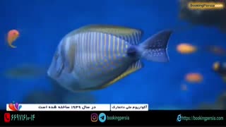 اکواریوم ملی دانمارک، سفر به اعماق اقیانوس - بوکینگ پرشیا