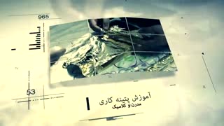 موسسهآموزشی رادیس