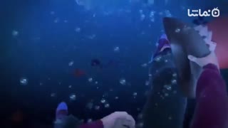 Bridge Another World: Alice in Shadowland