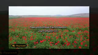 طبیعت زیبا و سرسبز ایران