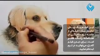 آموزش نقاشی از سگ با مدادرنگی