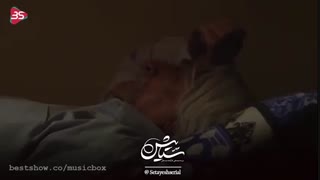 ستایش - شهاب مظفری