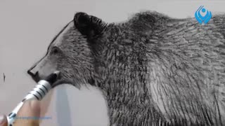 آموزش طراحی از یک خرس