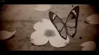 Nightcore ↬ killing butterflies [NV] -  نایتکور کشتن پروانه ها