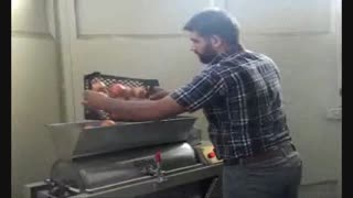 آب_انار_گیری_OilSet