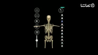AR Anatomy 4D+