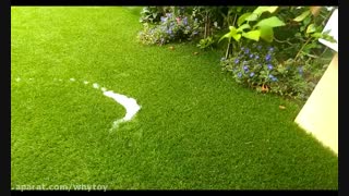 راهنمای نگهداری و تمیز کردن چمن مصنوعی