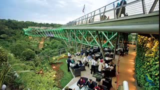 پل طبیعت تهران