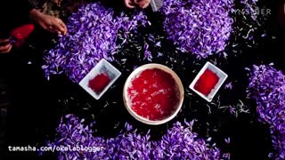 همه چیز در مورد خواص زعفران