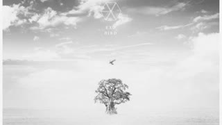 آهنگ bird از EXO -2019