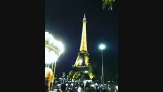پاریس شهر عشق و نور . البته برای موش ها